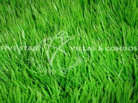 SOLD : 100 sq wah of land @ Bang Sare Land Bang Sare