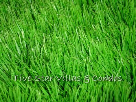 Corner plot of 380 sqw of prime development land by Mabprachan Lake Land Mabprachan Lake