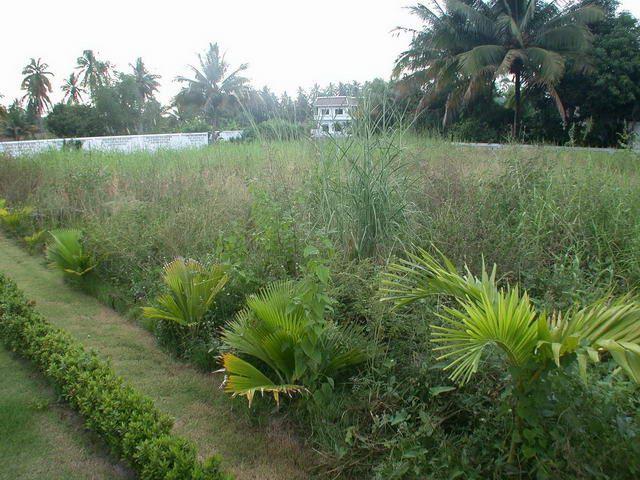 Land  For Sale  Pattaya +  Land East Pattaya
