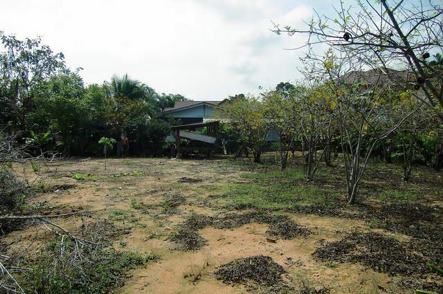 Land  For Sale  Bangsaray  Land Bangsaray Village