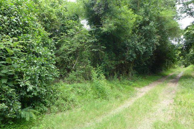 Land for sale Pattaya ideal for housing development Land for sale Pattaya ideal for housing development