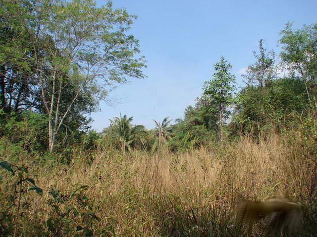 Land for sale Pattaya ideal for pool villas Land for sale Pattaya ideal for pool villas