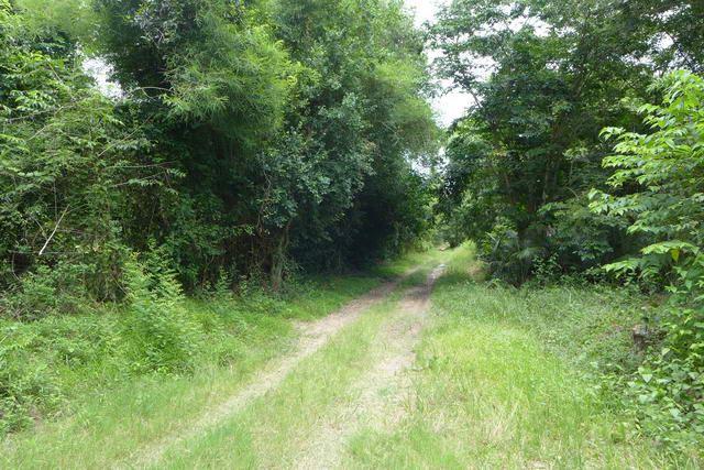 Land for sale Pattaya ideal for housing project Land for sale Pattaya ideal for housing project