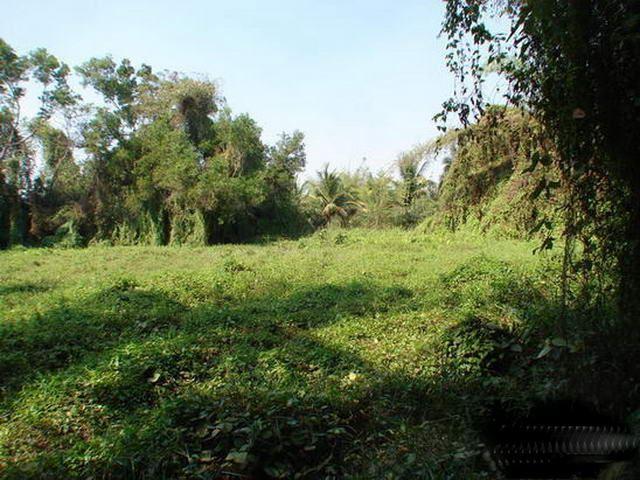 Land for sale Pattaya ideal for development Land for sale Pattaya ideal for development