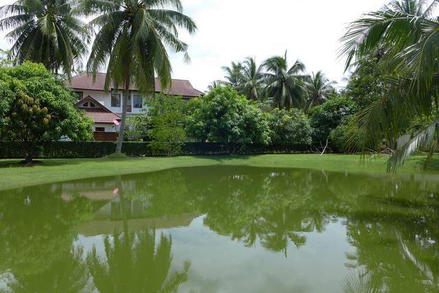 House For Sale Huay Yai showing the large fish pond House For Sale Huay Yai showing the large fish pond
