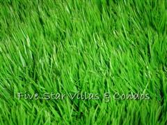 Land for sale Huay Yai - Land -  - Huay Yai 