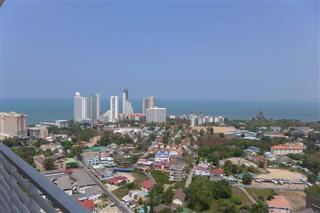 Condominium  For Sale  Naklua  - Condominium -  - Wongamat Beach