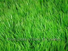 Land for sale East Pattaya - Land - Pattaya East - East Pattaya