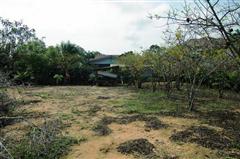 Land  For Sale  Bangsaray  - Land -  - Bangsaray Beach