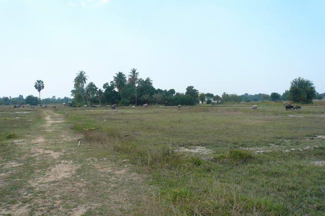Land for sale in Na Jomtien ideal for construction Land for sale in Na Jomtien ideal for construction