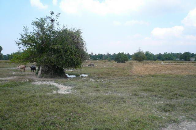 Land for sale in Na Jomtien ideal for villa development Land for sale in Na Jomtien ideal for villa development