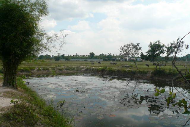 Land for sale in Na Jomtien ideal for villa project Land for sale in Na Jomtien ideal for villa project