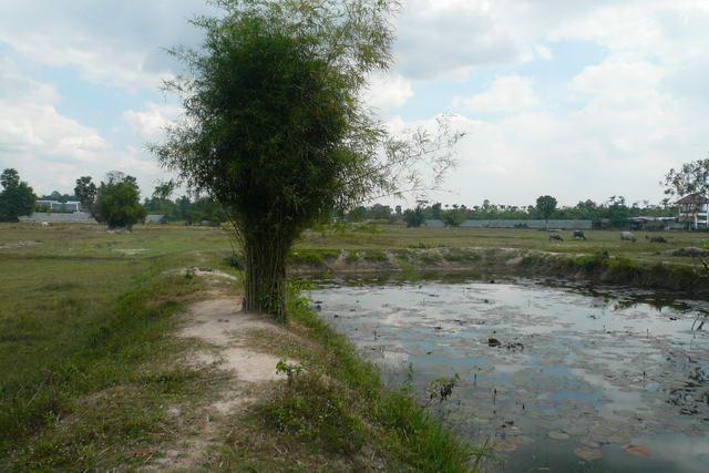 Land for sale in Na Jomtien ideal for house development Land for sale in Na Jomtien ideal for house development