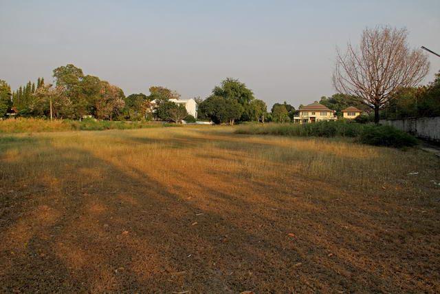 Land for sale in Na Jomtien ideal for pool villas Land for sale in Na Jomtien ideal for pool villas