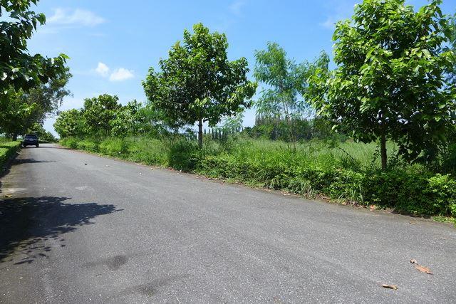 Land for sale in Pattaya showing the road access Land for sale in Pattaya showing the road access