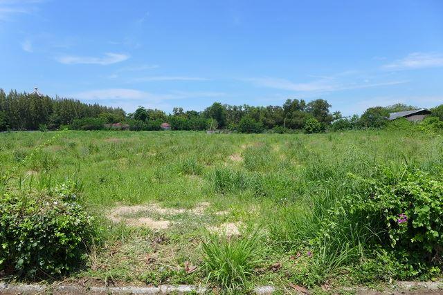 Land for sale in Pattaya showing the land Land for sale in Pattaya showing the land