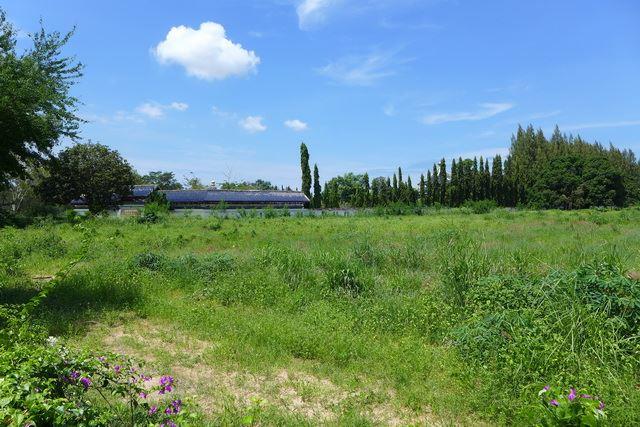 Land for sale in Pattaya showing the flat land Land for sale in Pattaya showing the flat land