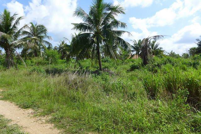 Land for sale East Pattaya Land for sale East Pattaya