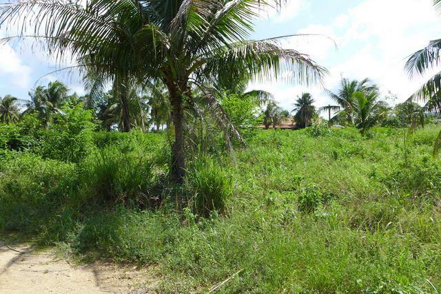 Land for sale East Pattaya Land for sale East Pattaya