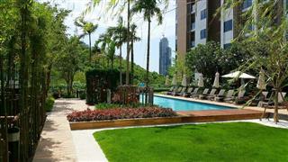 Condominium for sale South Pattaya - Condominium - Pattaya - South Pattaya