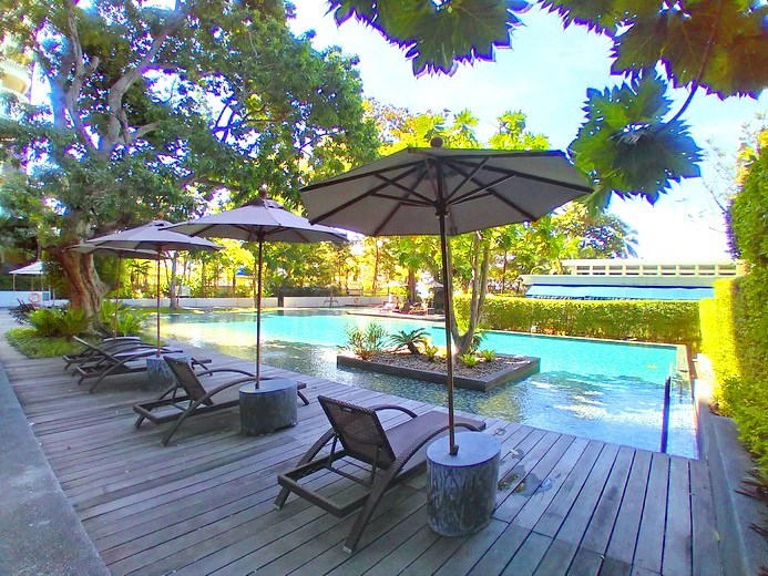 Condominium for rent Wong Amat Pattaya showing the communal pool 